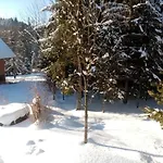 Gorski Zakatek Z Kominkiem I Tarasem