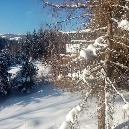 Górski Zakątek Z Kominkiem I Tarasem Laliki