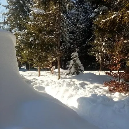 Górski Zakątek Z Kominkiem I Tarasem *
