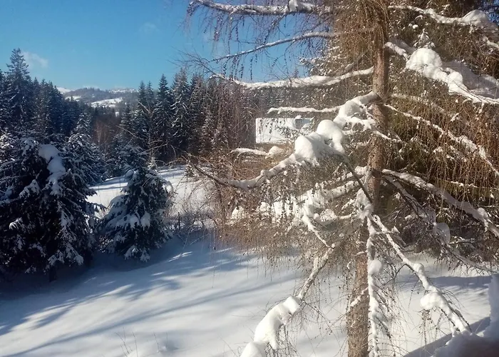 Gorski Zakatek Z Kominkiem I Tarasem Laliki